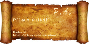 Pflaum Anikó névjegykártya